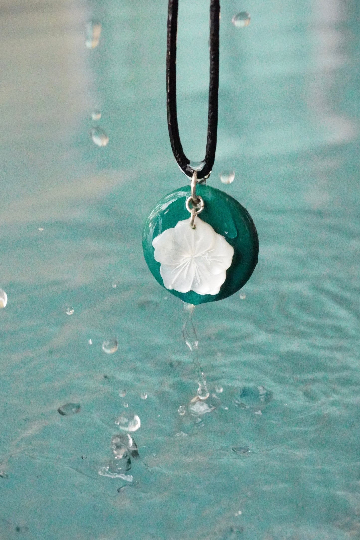 Hibiscus Mother of Pearl