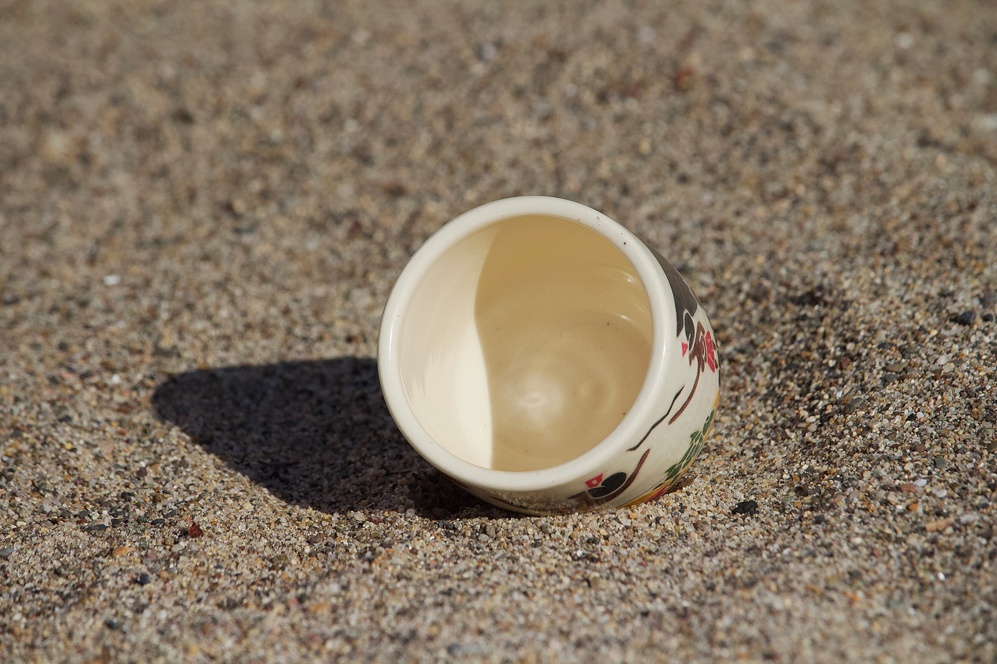 Egglaying Cycle of the Turtle Cup